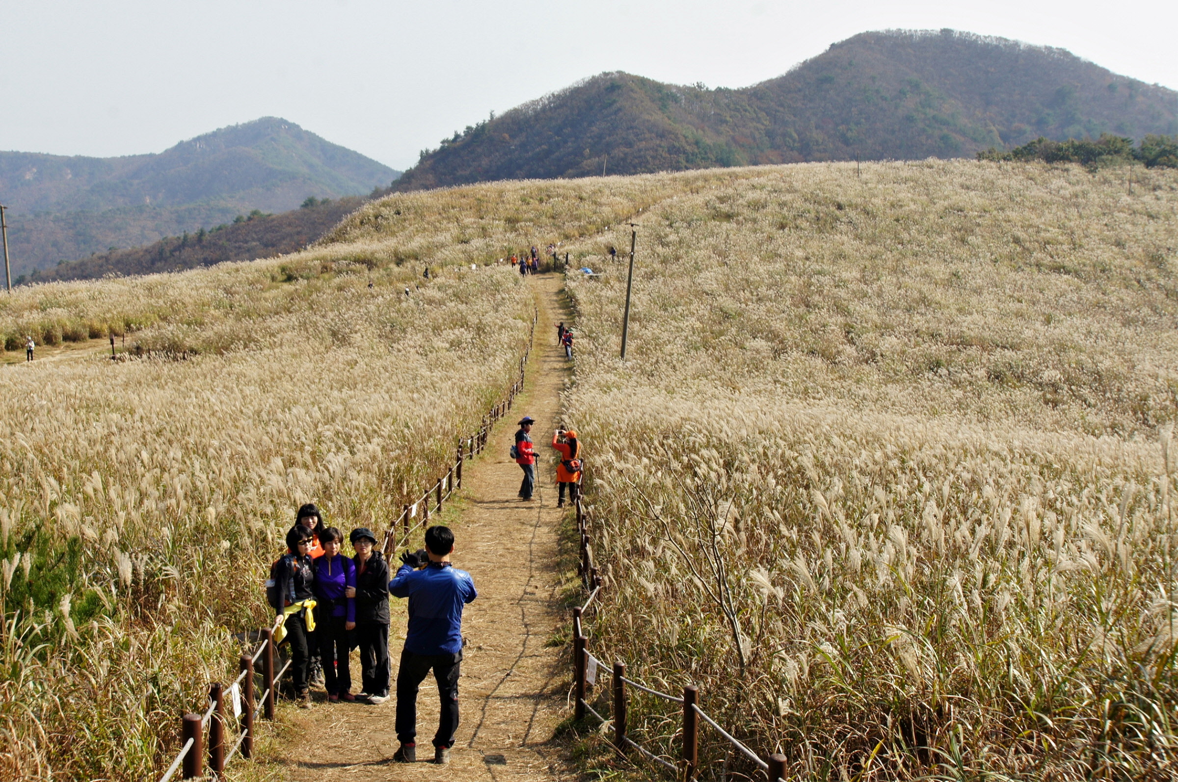 경주 무장사지 산행, 대중교통을 이용합시다! 