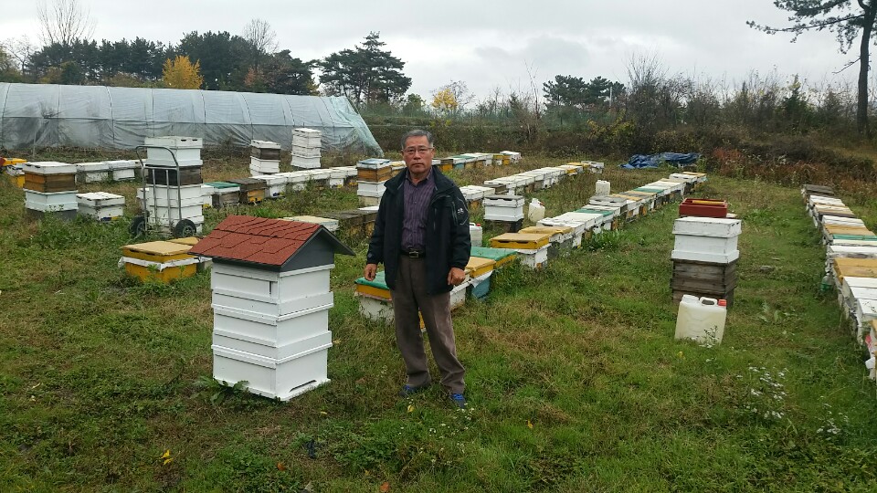 2016년 예비사회적기업에‘꿀벌과 피아노 영농조합법인’선정