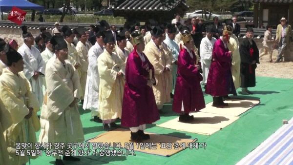 경주는 지금 5월 둘째주