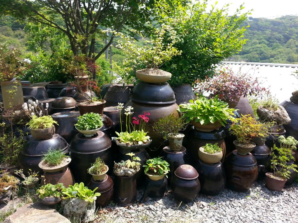(글보기)산골동네 귀농부부의 풀꽃이야기 | 경주시정뉴스 - 포토뉴스 >포토뉴스