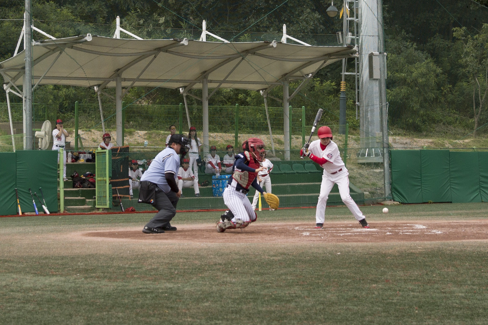 2015 KBO 총재배 전국여자야구대회 팡파르