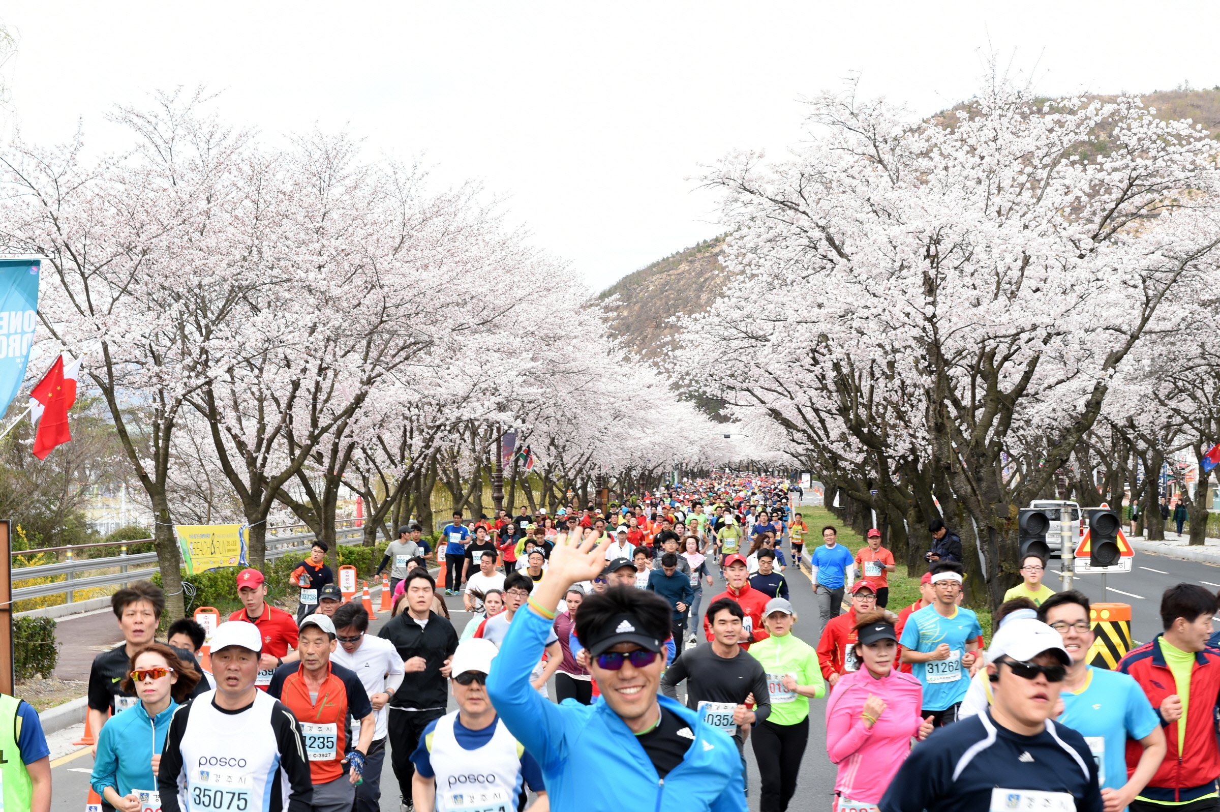 제25회 경주 벚꽃 마라톤대회, 교통통제 합니다.