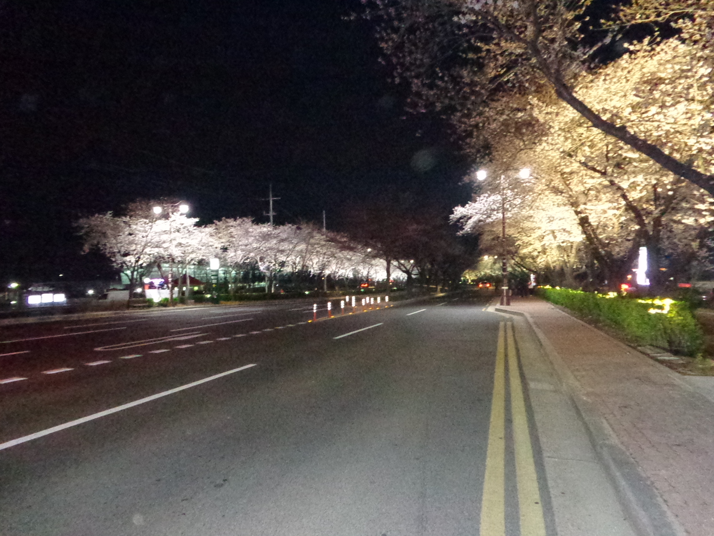 밤이 아름다운 경주, 벚꽃시기 맞춰 경관조명 점등
