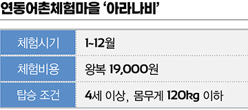 아라나비