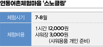 스노클링
