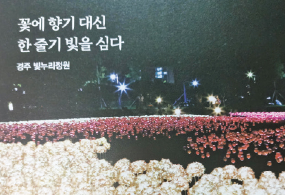 박사연 독자