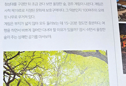 박사연 독자