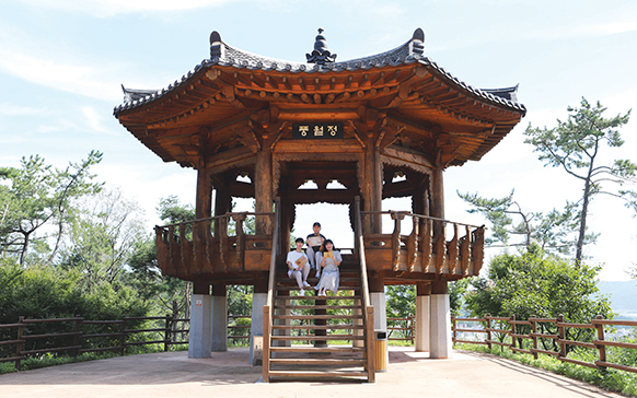 용화향도