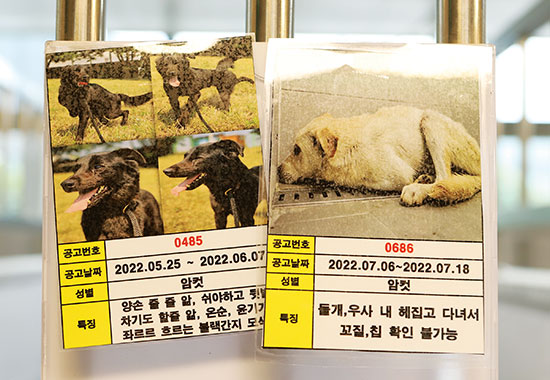 전단지