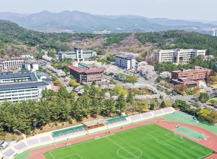 비전 경주