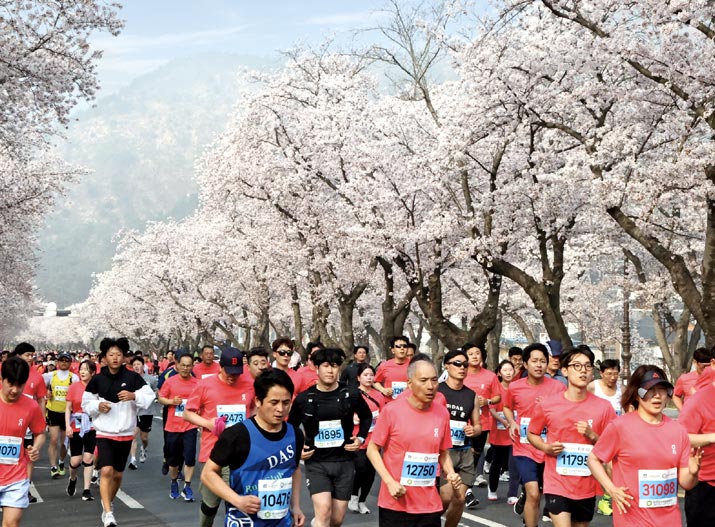 투데이 경주