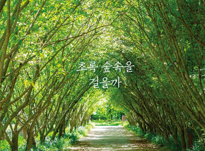 뷰포인트 경주
