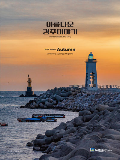 vol161 cover