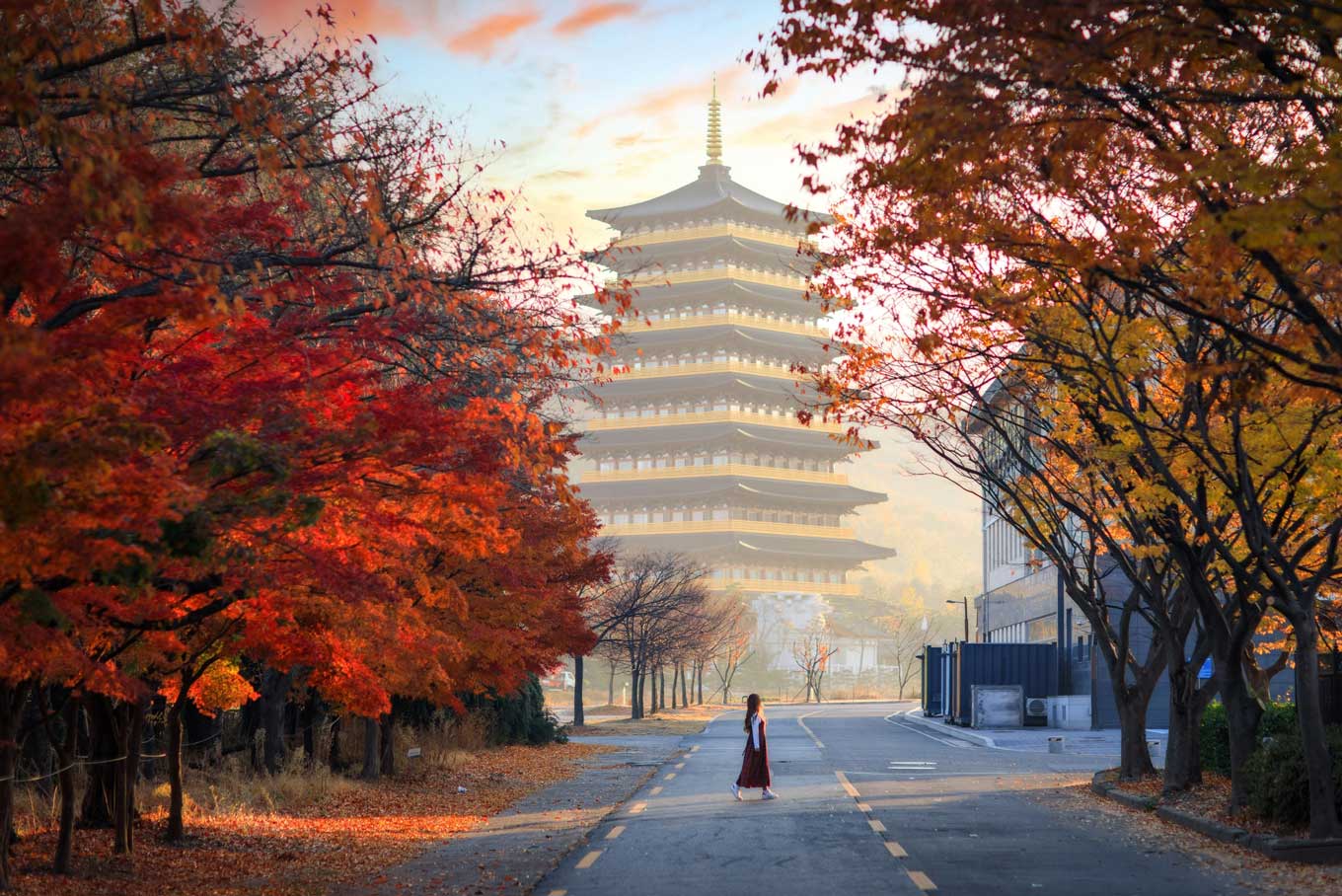 새로운 미래를 여는 대한민국 2025년 APEC 정상회의