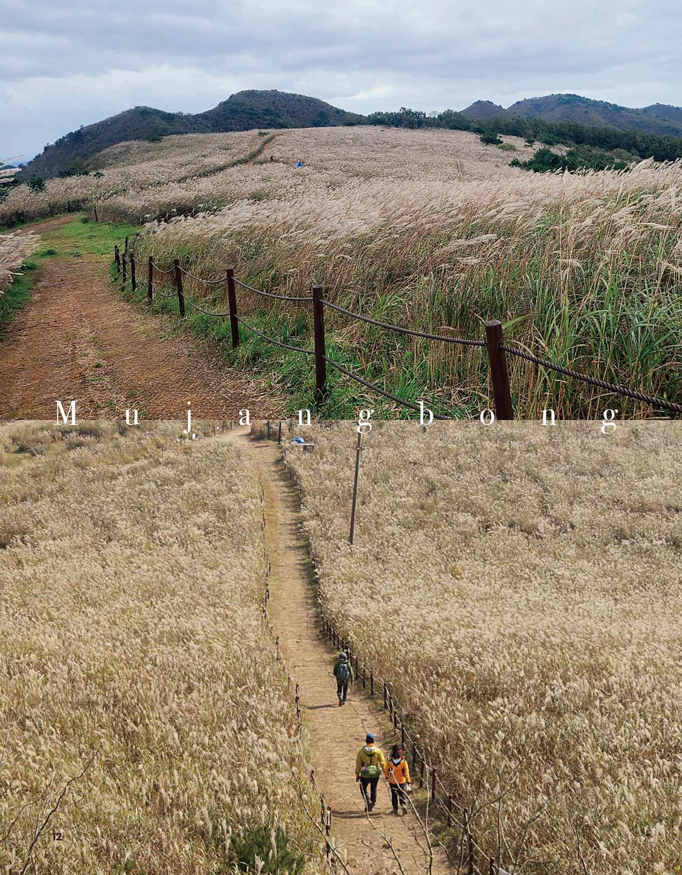 동대봉산 무장봉