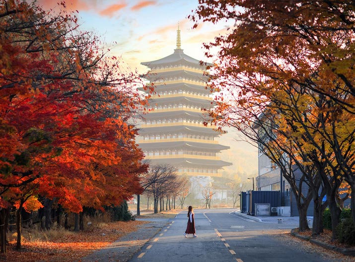 이다지도 경주로운