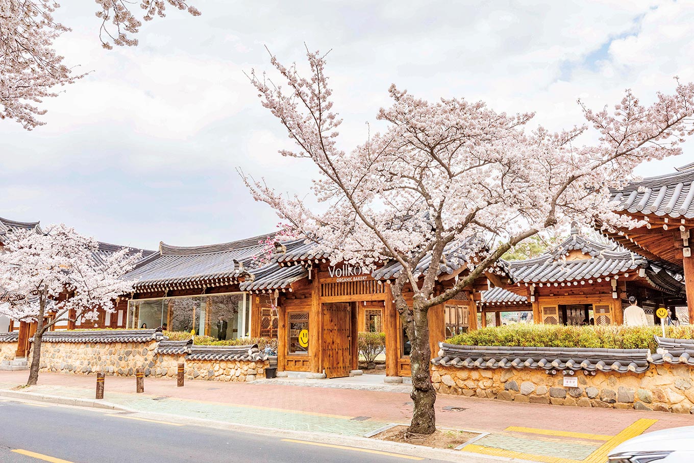 지금, 경주를 걷다
