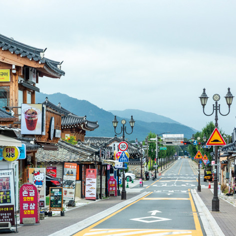 월정1번 노선 월정1번 노선