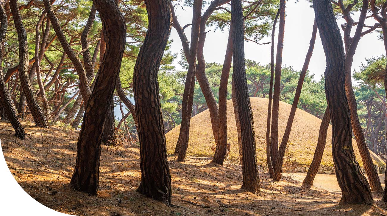 경주 선덕여왕릉 경주 선덕여왕릉