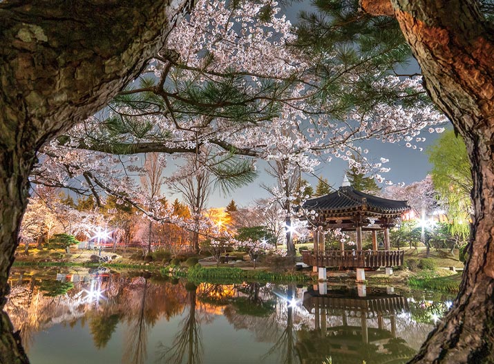 경주 바이브