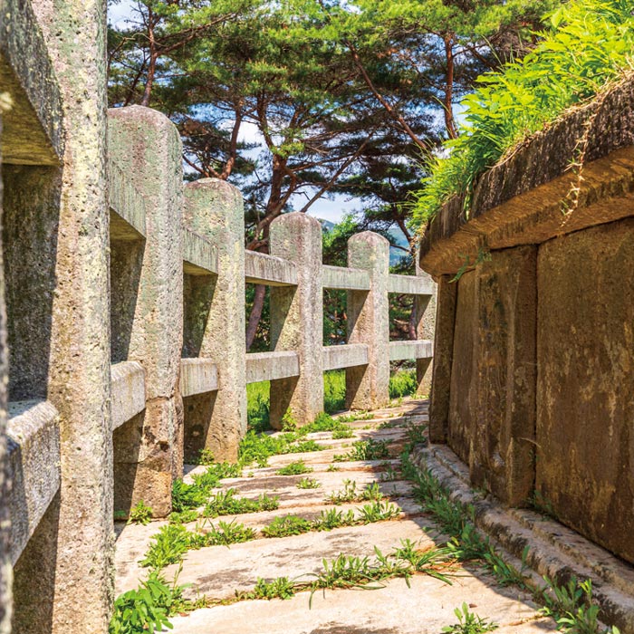경주 경덕왕릉 경주 경덕왕릉