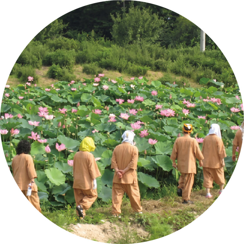 경주 기림사 경주 기림사